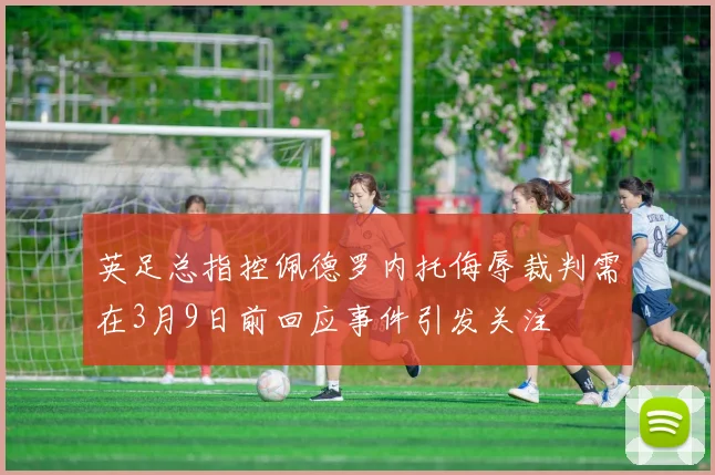 英足总指控佩德罗内托侮辱裁判需在3月9日前回应事件引发关注
