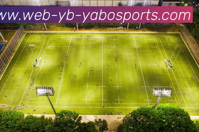 亚博体育发展历程